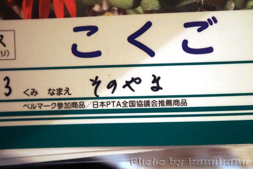 2618241215_01.jpg