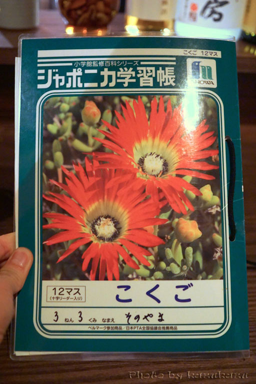 2618241215_03.jpg