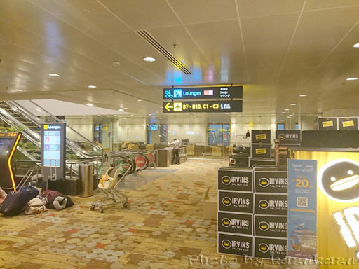 3408171119_03.jpg