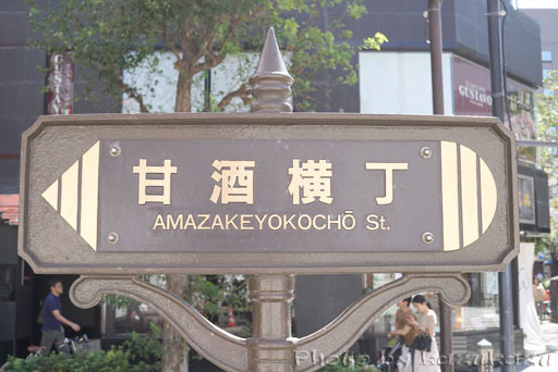 3823300919_15.jpg