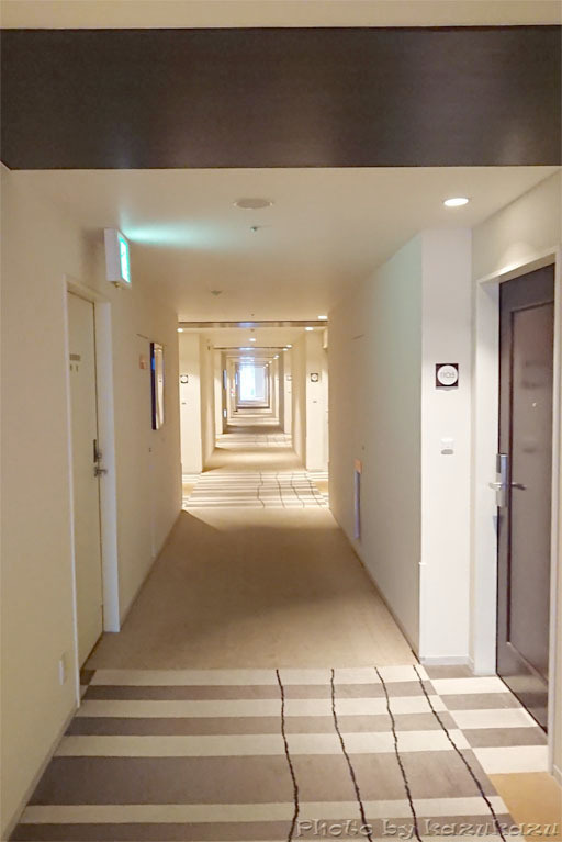 3915221219_07.jpg