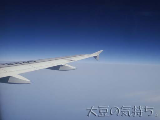 4410160412_01.jpg