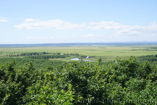 1412250822_06.jpg