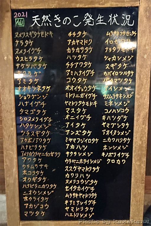 3011250921_07.jpg