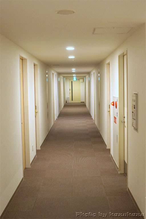 3221200421_12.jpg