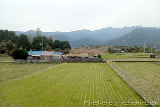 5009290322_04.jpg